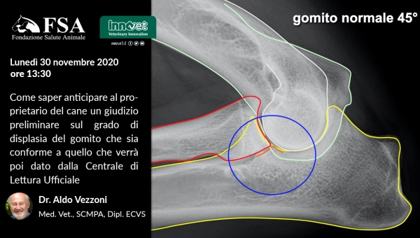 WEBINAR FSA CON IL DOTT. VEZZONI 30 Novembre ore 13:30