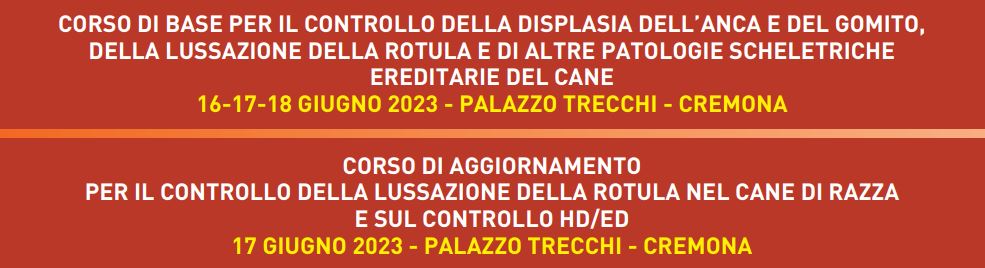 CORSO DI ACCREDITAMENTO HD/ED FSA - EDIZIONE 2023