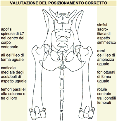 radiografico hd 03